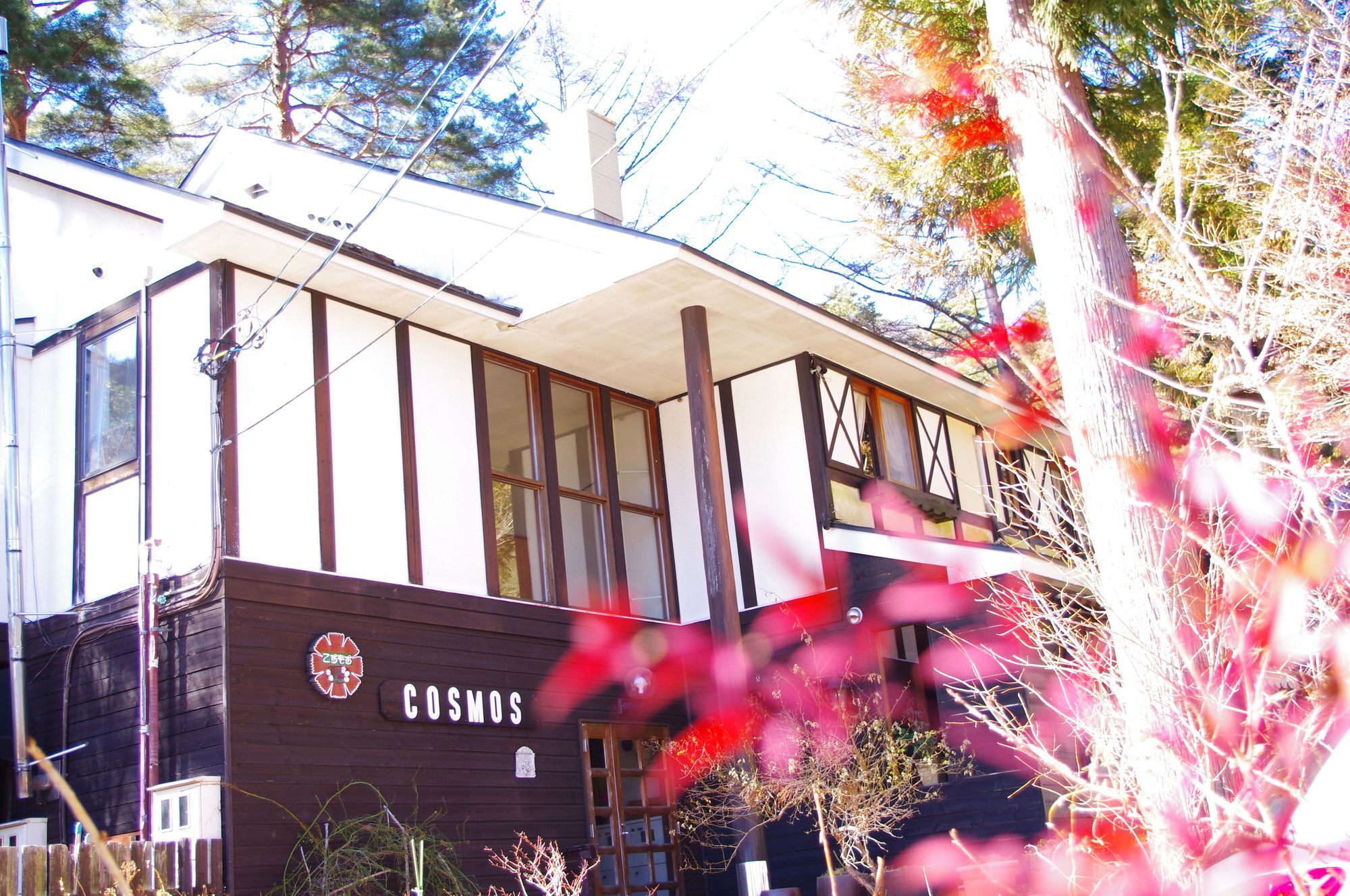 Forest Resort Cosmos Fujikawaguchiko Esterno foto